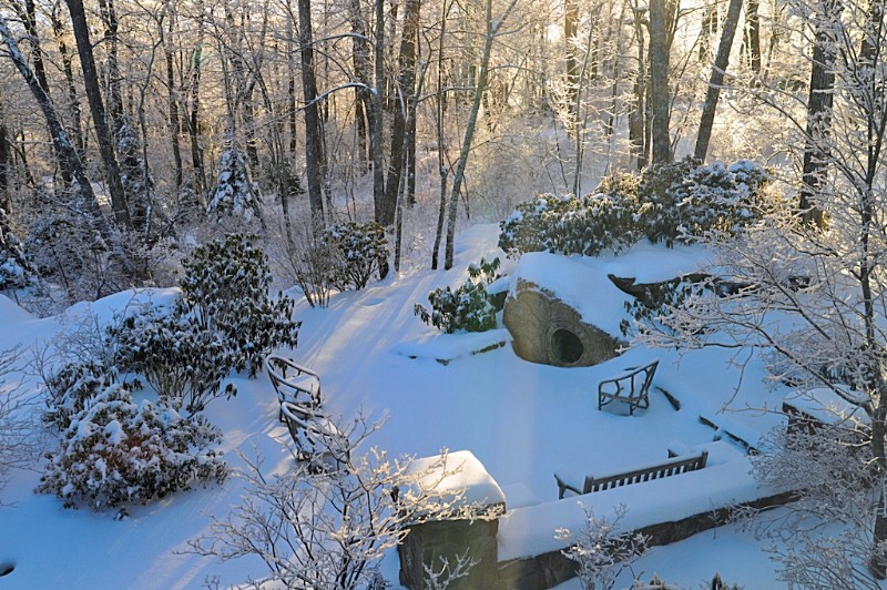 Save the Date for the Reserve’s Annual Native Plant Symposium