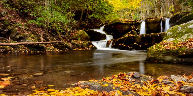 Wet and Wild: A Partners for Plants Wetland Revegetation Weekend and Optional Camping Trip