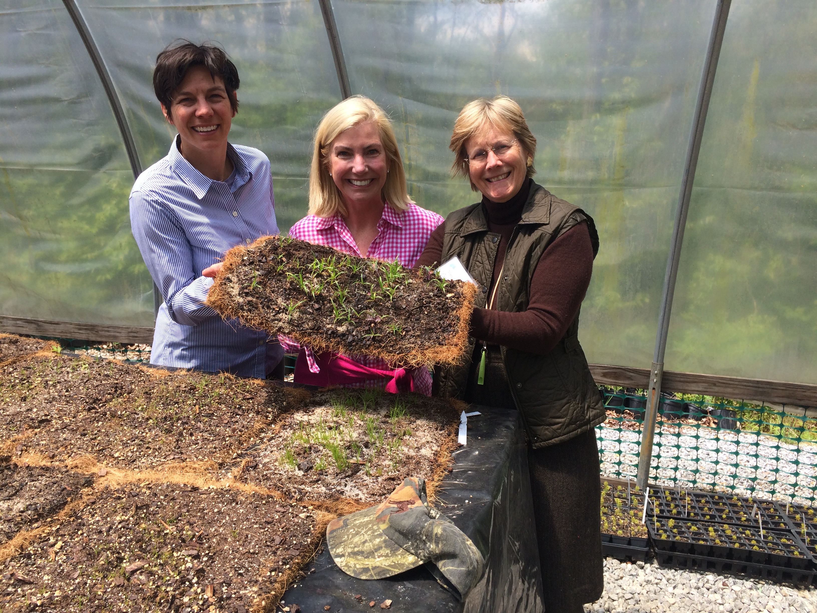 Cherokee Garden Club of Atlanta Coordinates “Partners for Plants” Wetland Revegetation Project at Great Smoky Mountains National Park with SHR, National Parks Service, Volunteers