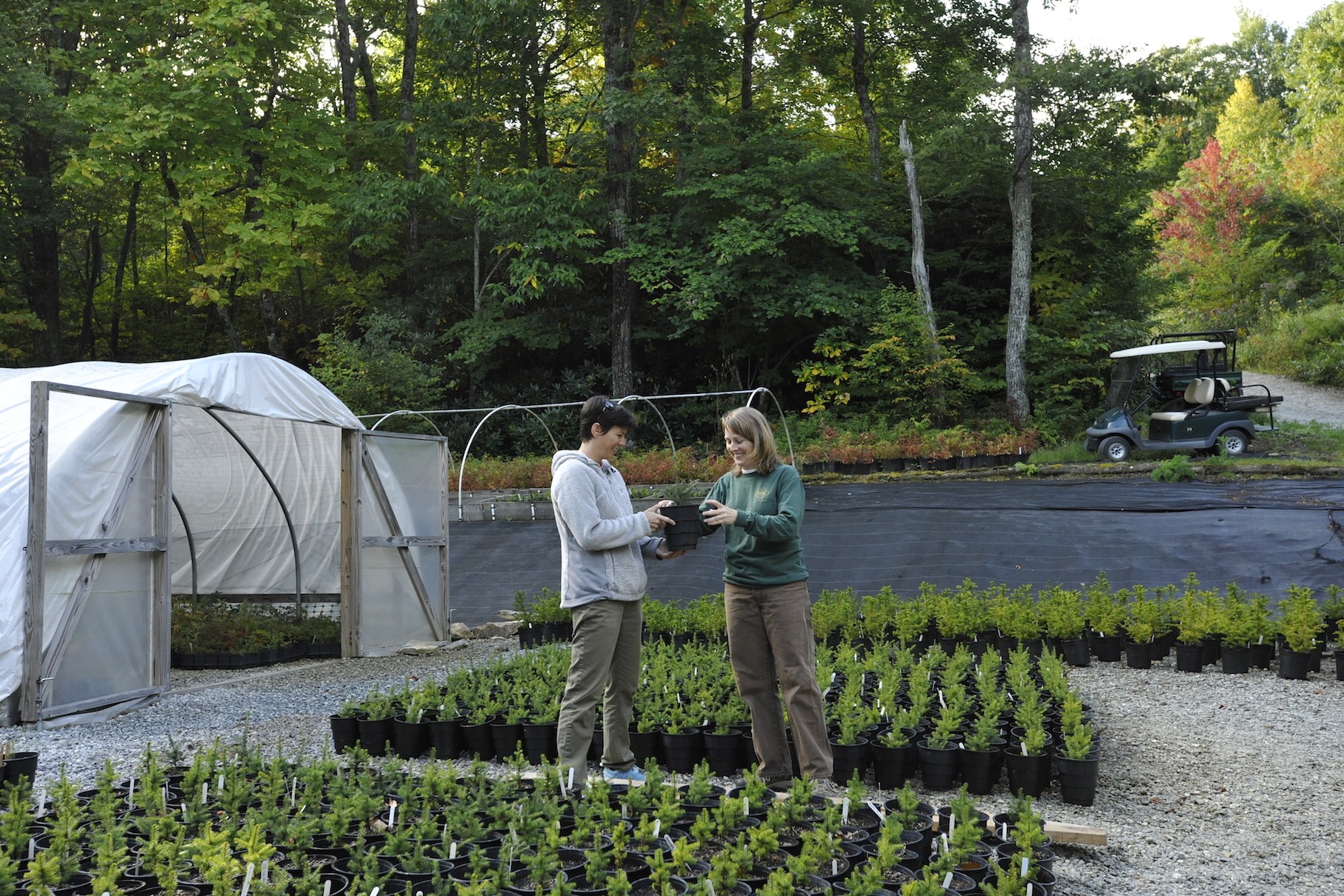 Southern Highlands Reserve Awarded a $16,000 Open Space Preservation Grant from the Blue Ridge National Heritage Area to Restore Red Spruce in Western North Carolina