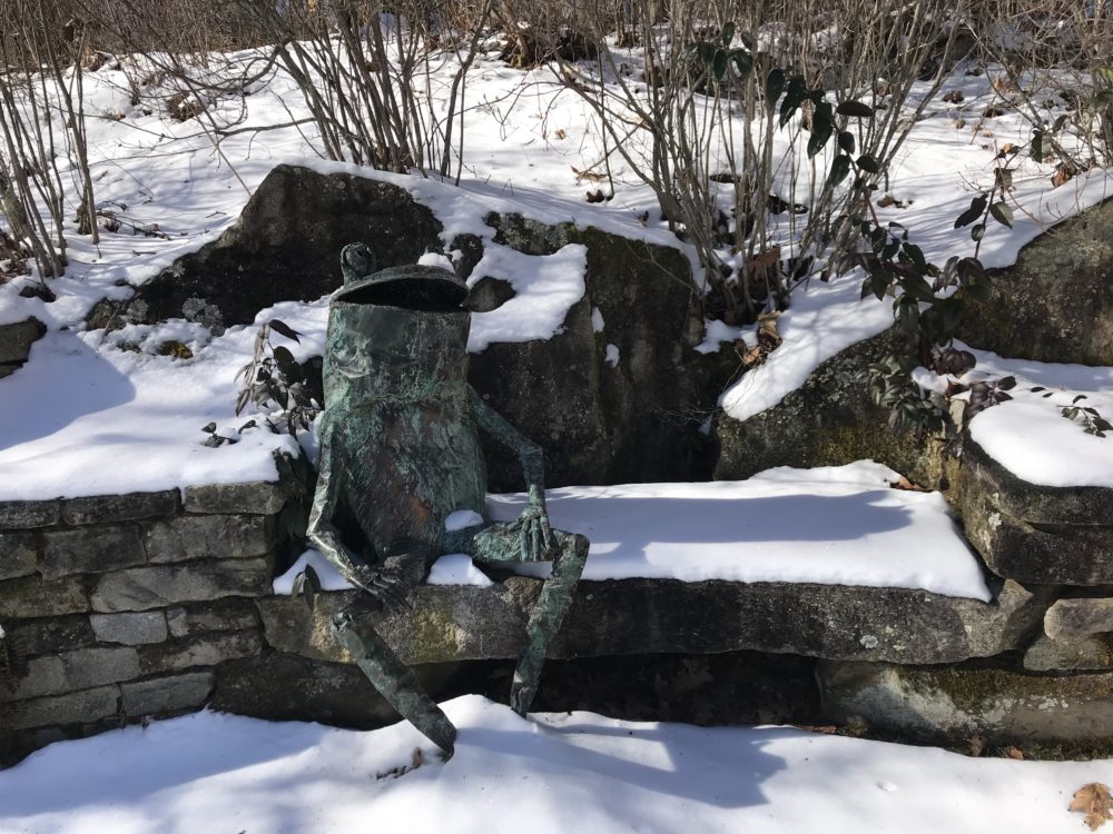 Gardener’s Corner – Winter Edition