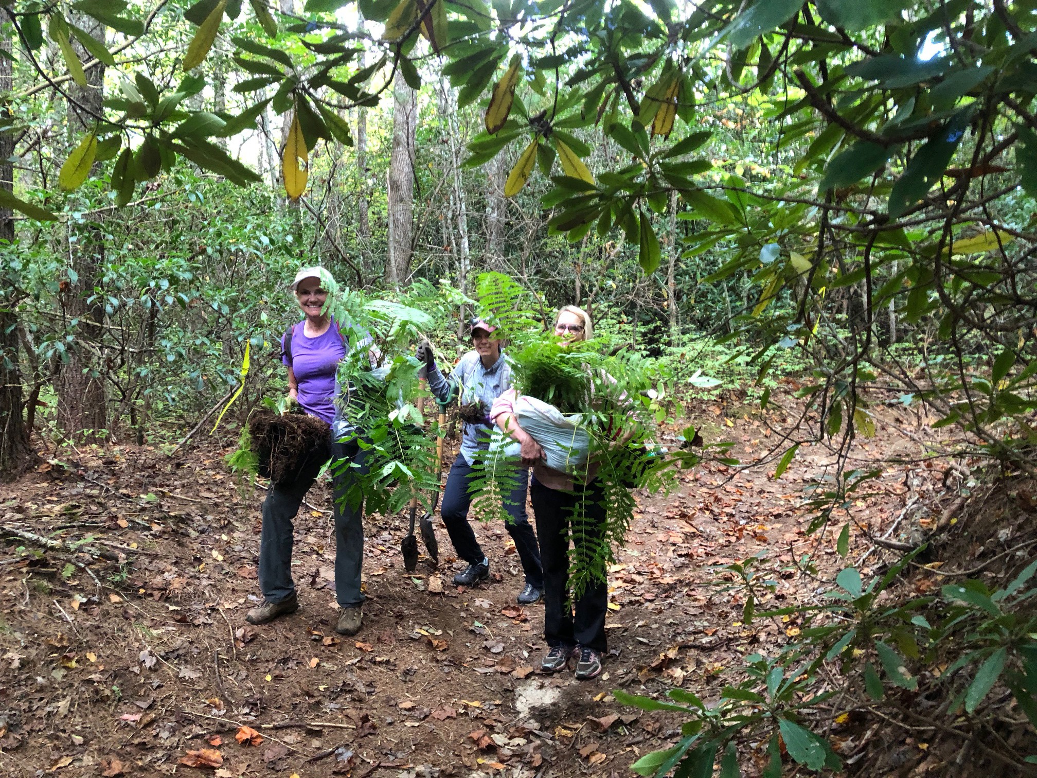 native plant rescue, southern gardens, biodiversity