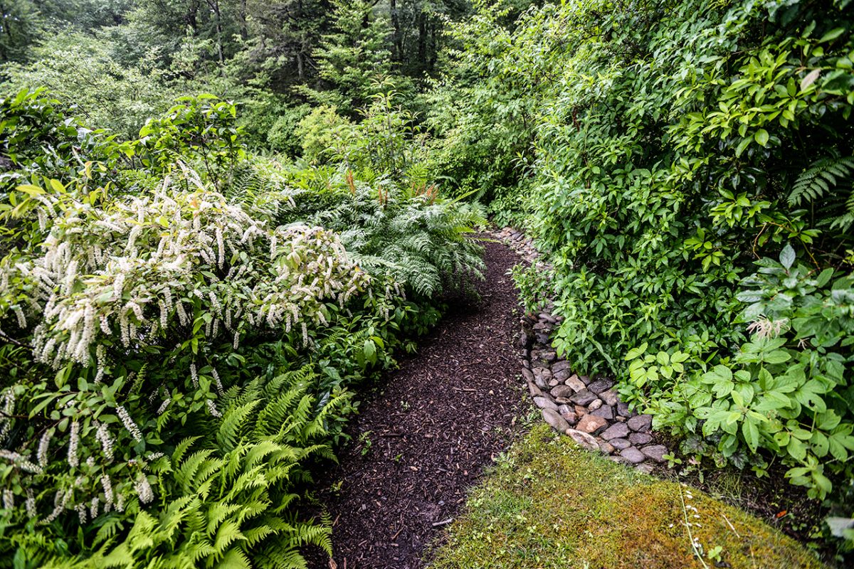 Southern Highlands Reserve landscape design, water mitigation, landscaping