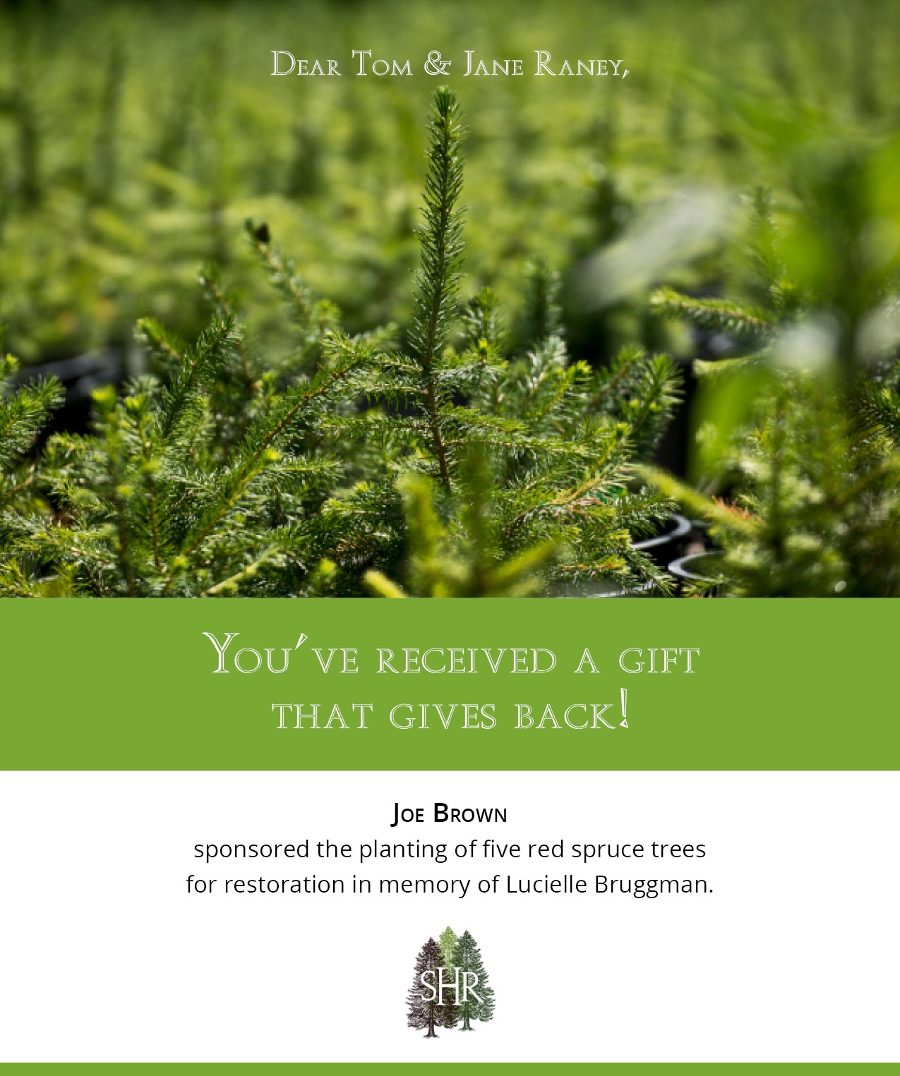 Gift-A-Spruce
