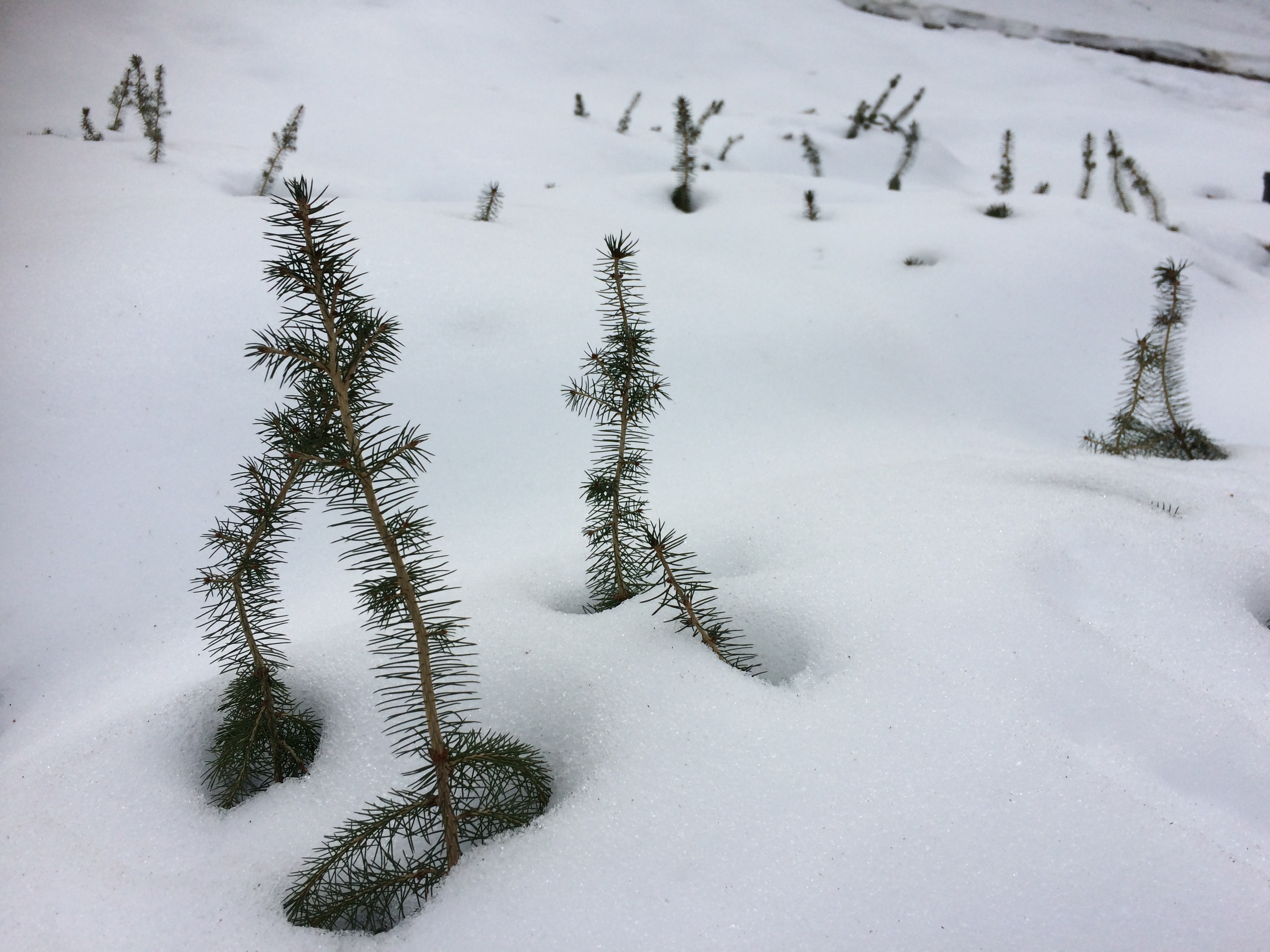 Southern Highlands Reserve