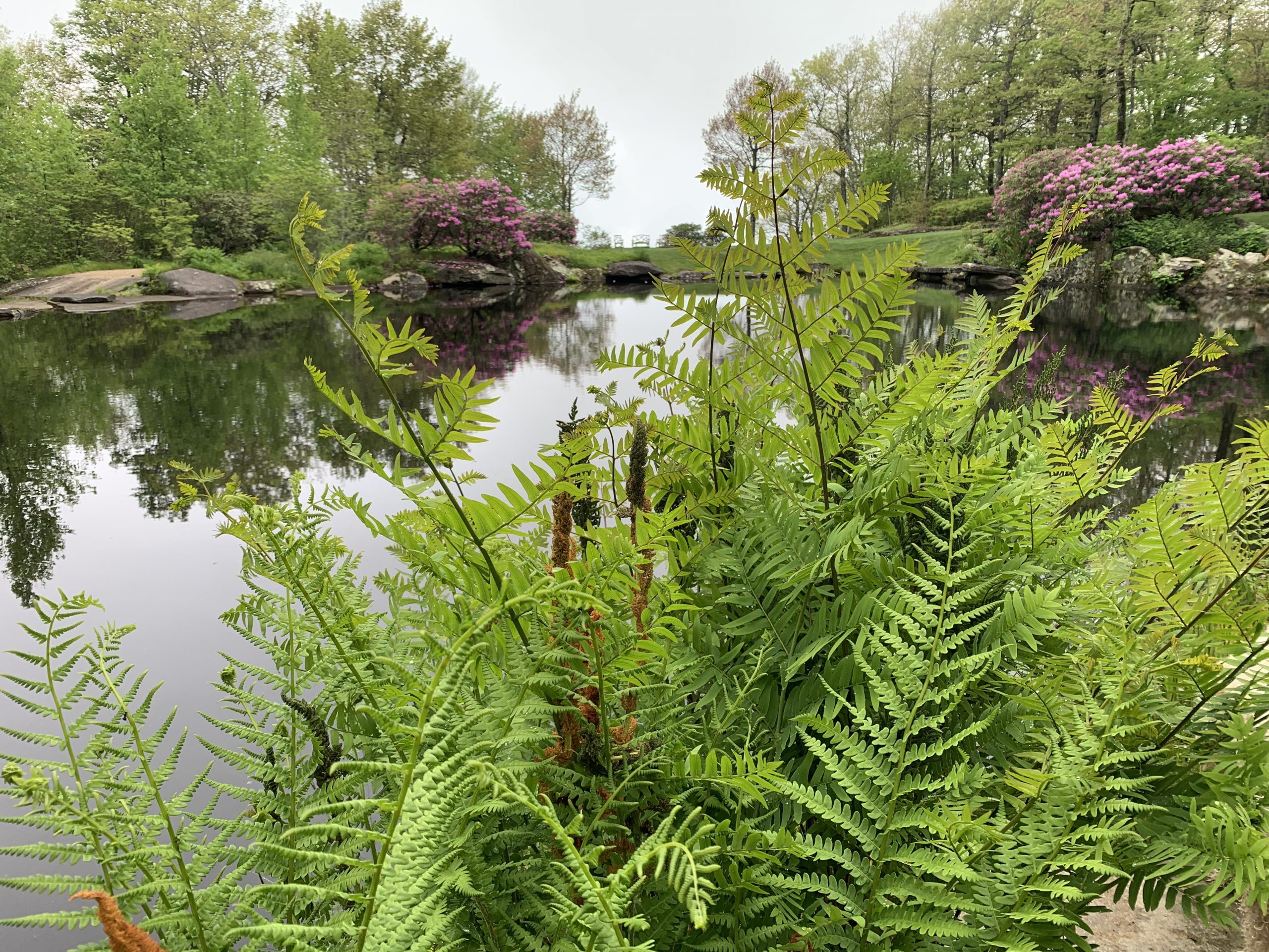 A Garden Unapologetic by Kristin Landfield-Howe