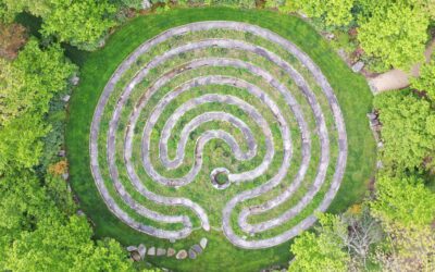 Phenology Phases in Full Force