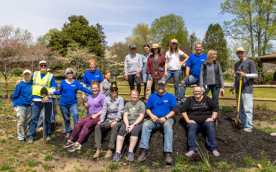 New Pollinators for Brevard Dog Park