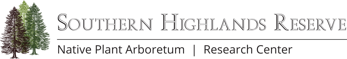 Horizontal White Text Logo