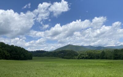 Cullowhee Conference Returns