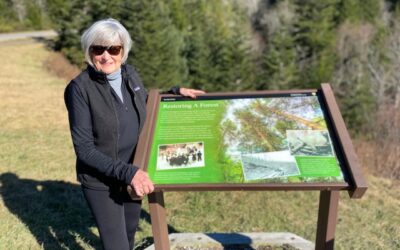 2022 Volunteer of the Year