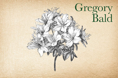 Gregory Bald Steward