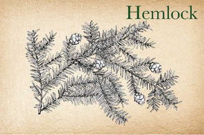 Hemlock Sustainer