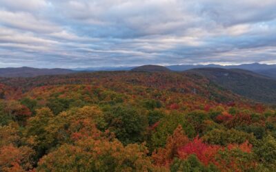 The Aftermath of Hurricane Helene