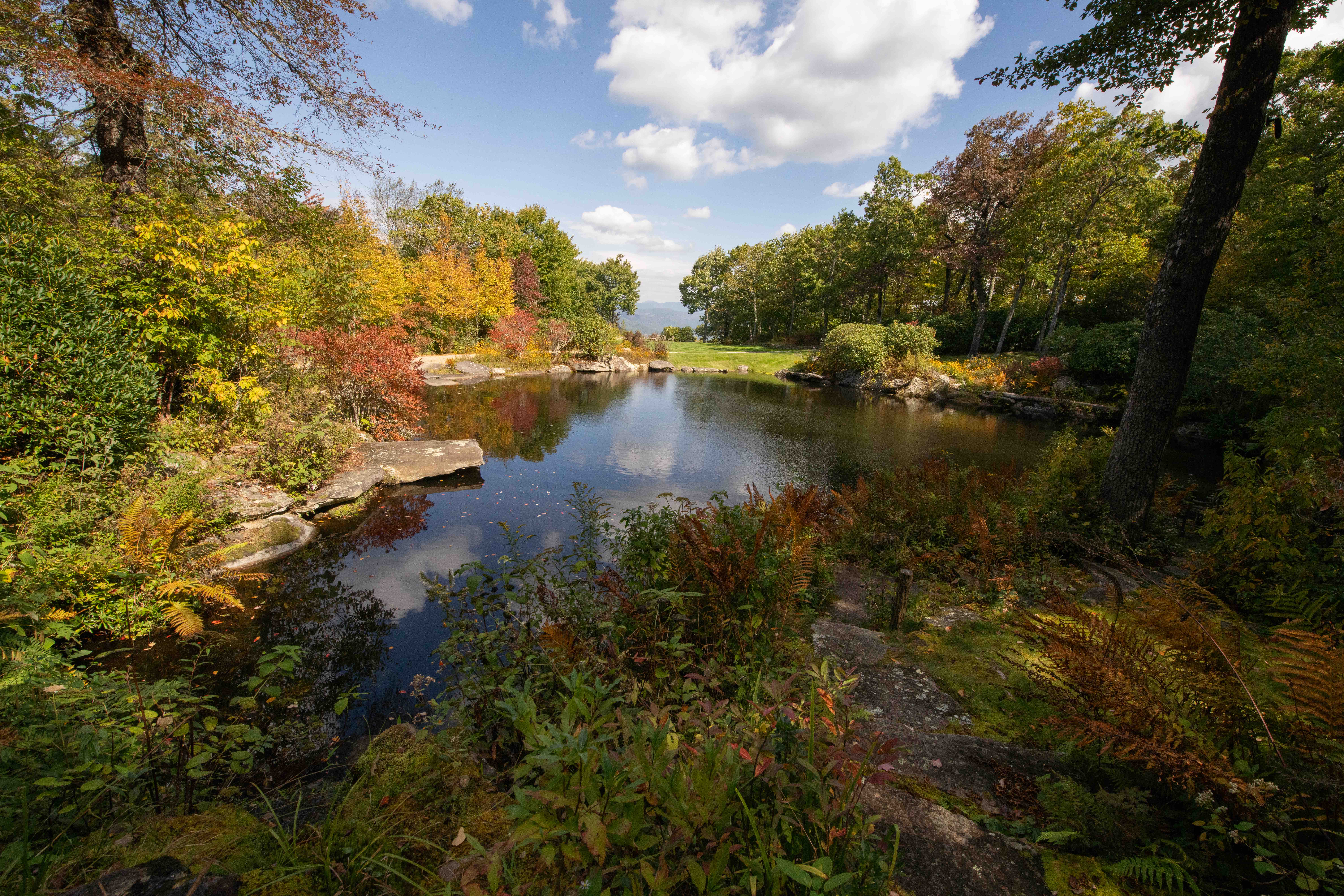 Letter from the Executive Director