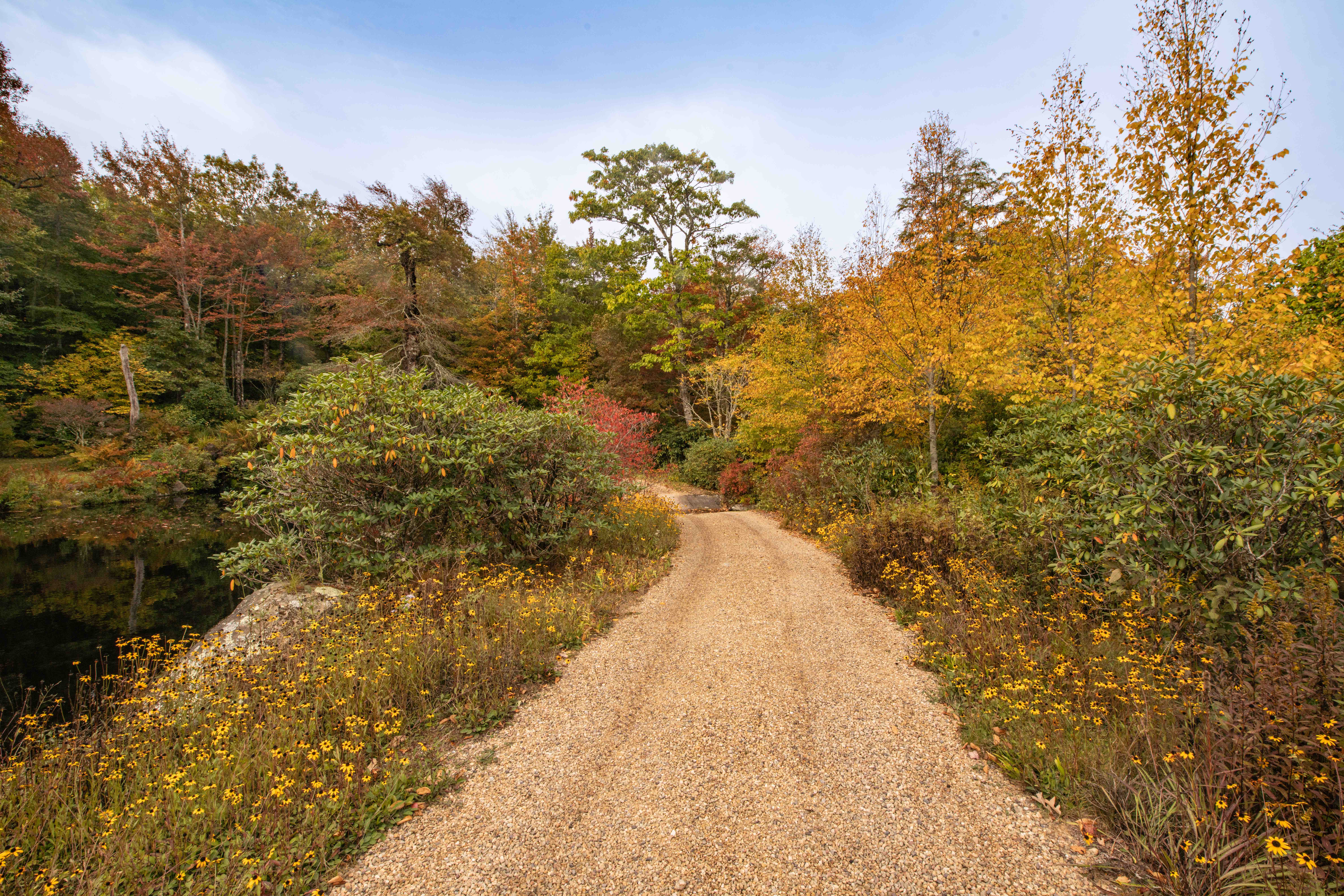 Gardener’s Corner — Fall 2024