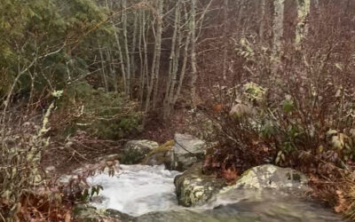 Storm Stories from SHR