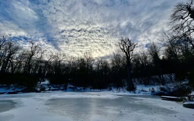 Letter from the Executive Director