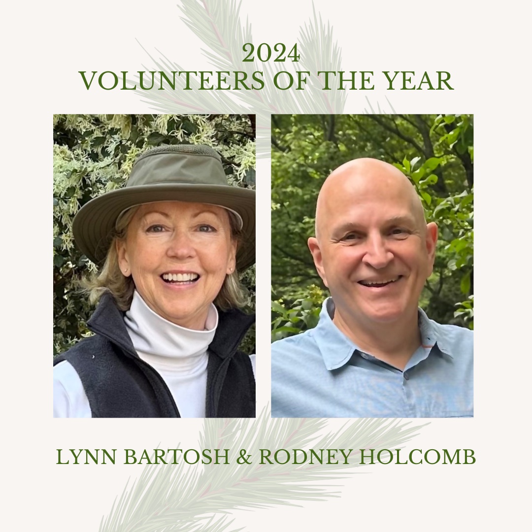 volunteers of the year – 1