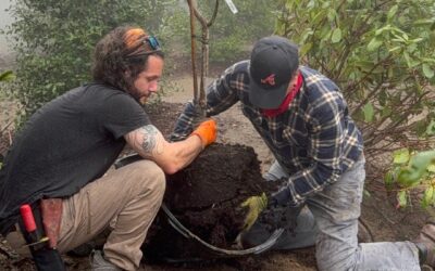 Gardeners Corner – Spring 2025