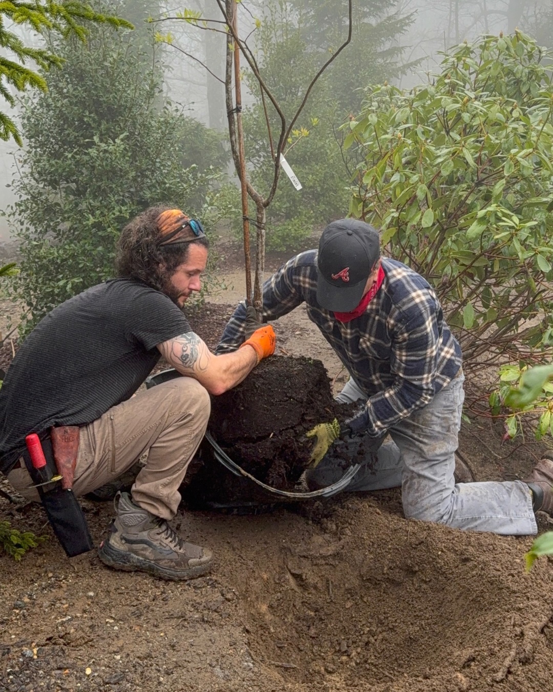 Untitled design – 1