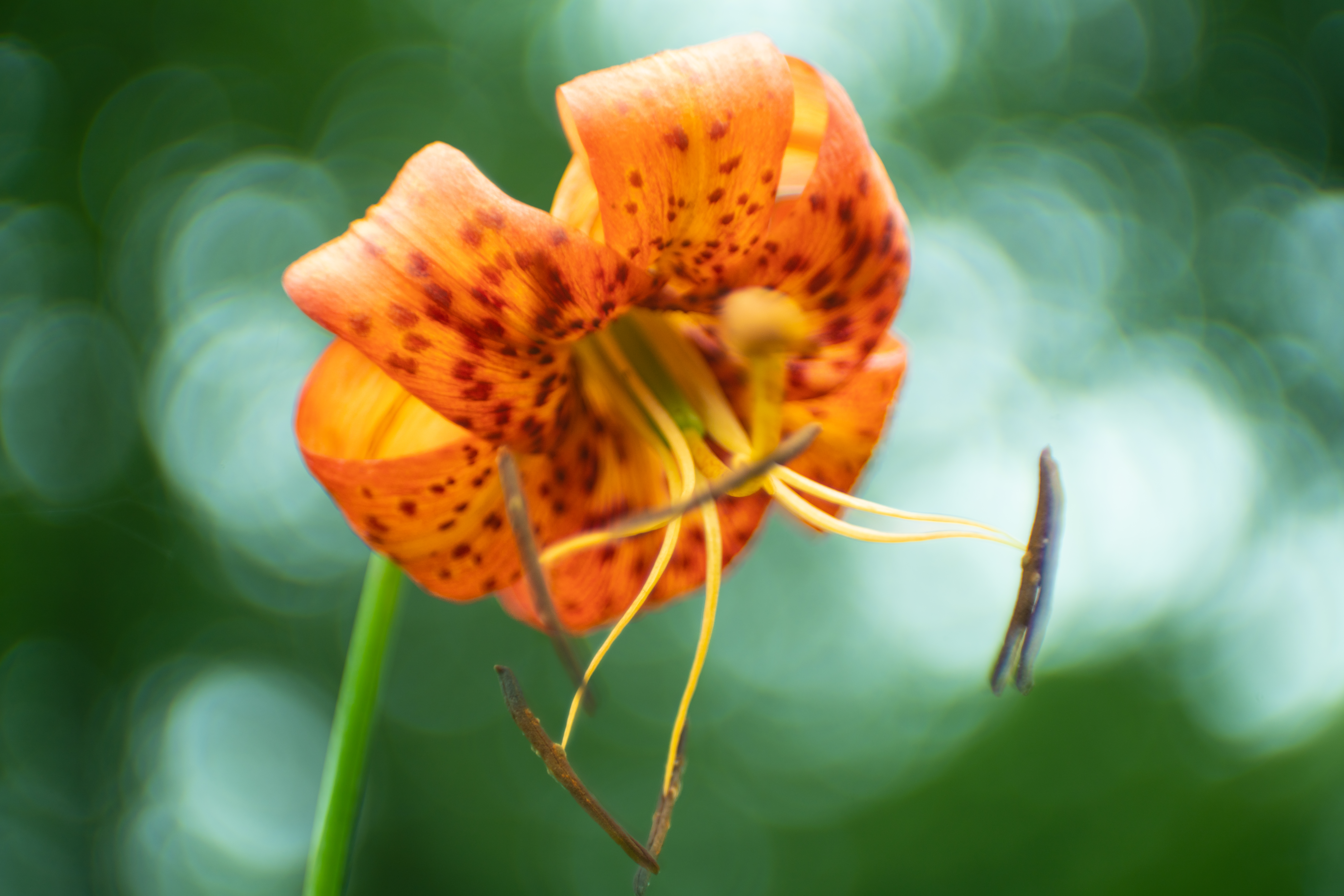 Letter from the Executive Director