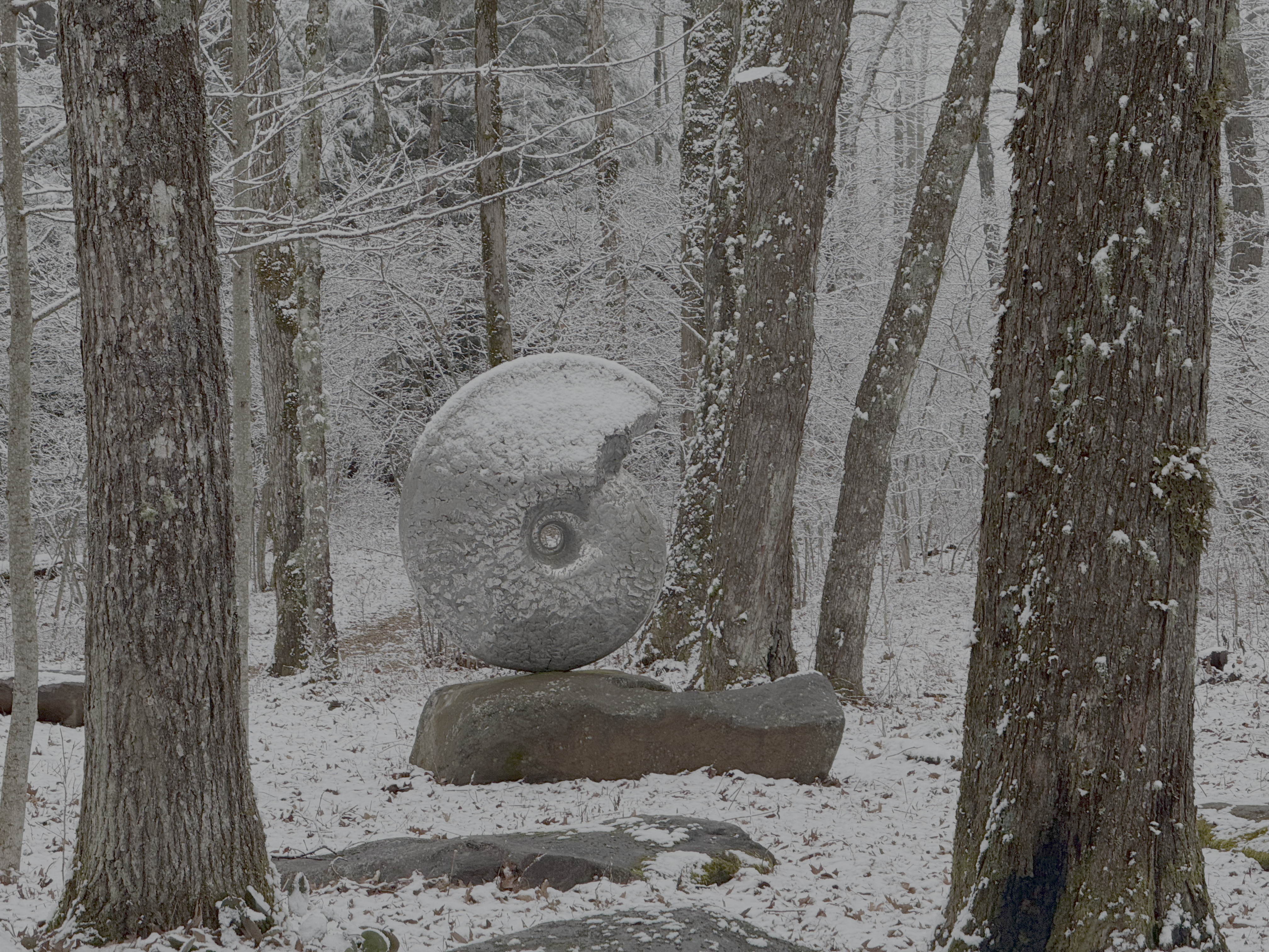 Letter from the Executive Director