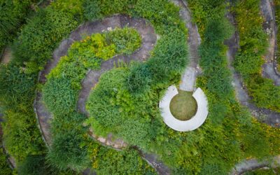 A New Vision: SHR Partners with Nelson Byrd Woltz on Updated Master Plan